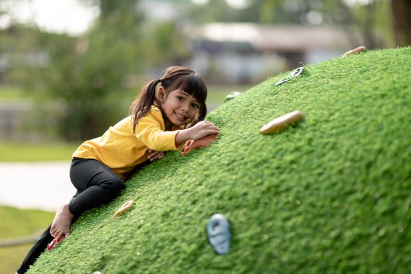 Lawn mounds